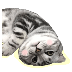 it ' s such a wonderful day today