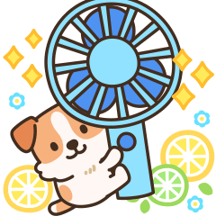 陽気なジャックわんこ2(夏)