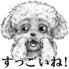 表情豊かな犬たち