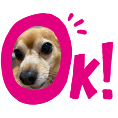 ちょこと呼ばれてます