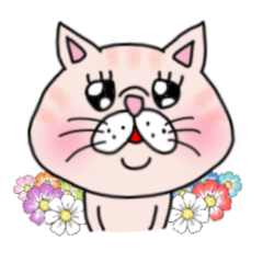 エキゾチックにゃんこ☆