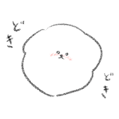 ふわふわなビションフリーゼ