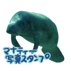 Save theマナティー 写真スタンプ