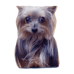 メイちゃんの毎日