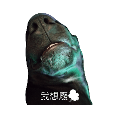 Siang_20210404190303