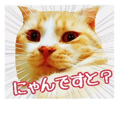 うちの子１番②