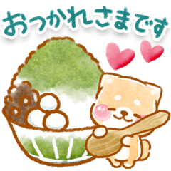 夏・天気❤️いやしばいぬ❤️