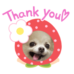 さわーのあいさつ