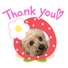 Shelly_20210807214537