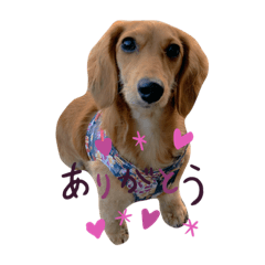 るうと愉快な仲間たち♡