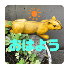 仲良しさんの一日