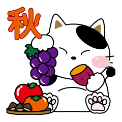 にゃんたんの日常会話秋１