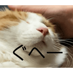 みたらしスタンプ！