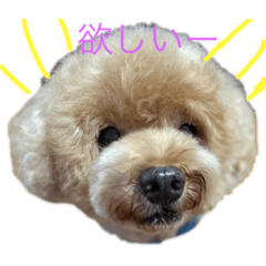 かげちかワールド