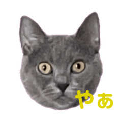 おシャル子さん