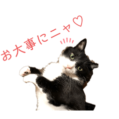 いいちこスタンプ2