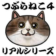 つぶらねこ リアルシリーズ