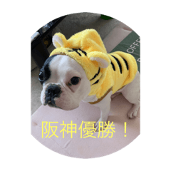 フレンチパラダイス