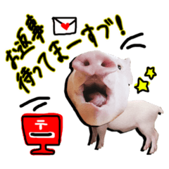 マイクロブタ伊之助の顔でかスタンプ