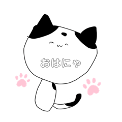 うちっちのぬこ