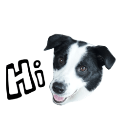 Chung_20220306180403