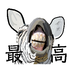 シマウマとタコ