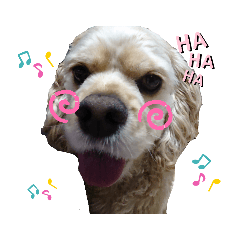 アメコカりくくん