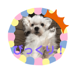 れっくんとチー太郎