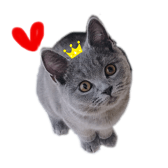 まめちゃん part 2