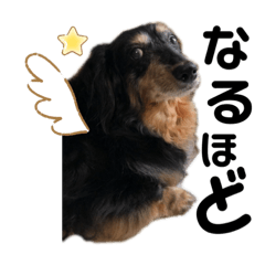 ツンデレすずちゃんといっしょ