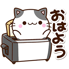 楽しいちびブチ