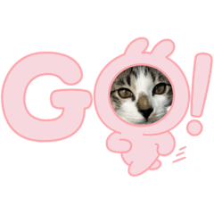 あるみとコテツ