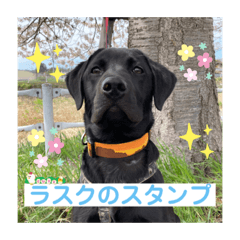 ラスクのスタンプ 3