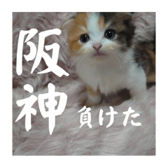 うちの暴君、今日いい日