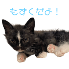 うにかにもずく