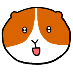 All day モルモット day