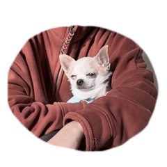 Renmi_20240330075446