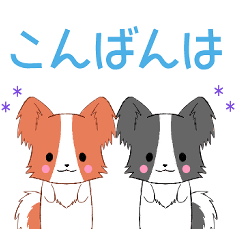 飛び出す！ちびパピヨン8【挨拶】