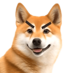 動く！リアル豆柴2