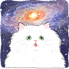 うちの子白猫！(長毛)