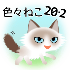 色々な猫20-2 長毛-白に茶柄