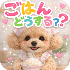 とびだす★トイプーの家族連絡❀