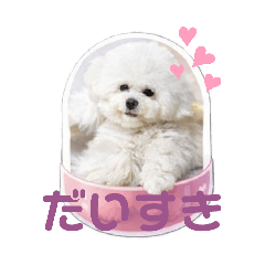 白モフわんちゃん