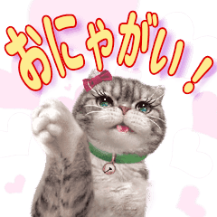 お気楽♪ニャンコ人生！