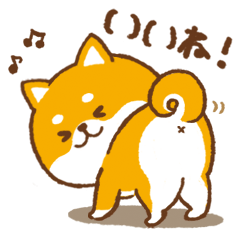 一言返事用！かわいいかまってチビ柴その10