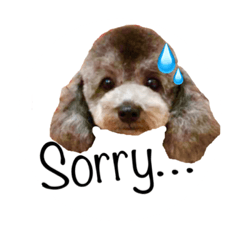 わんちゃん(tea&pot)