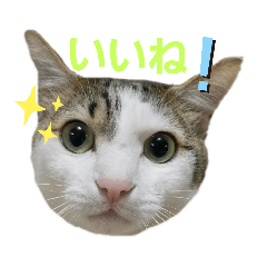 ラッキーくん&きららちゃん２