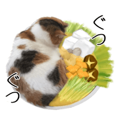 日常で使えるねこちゃんスタンプ