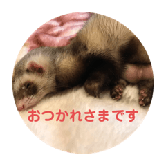 こもものきもち