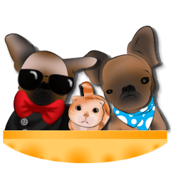 いぬとねこです。